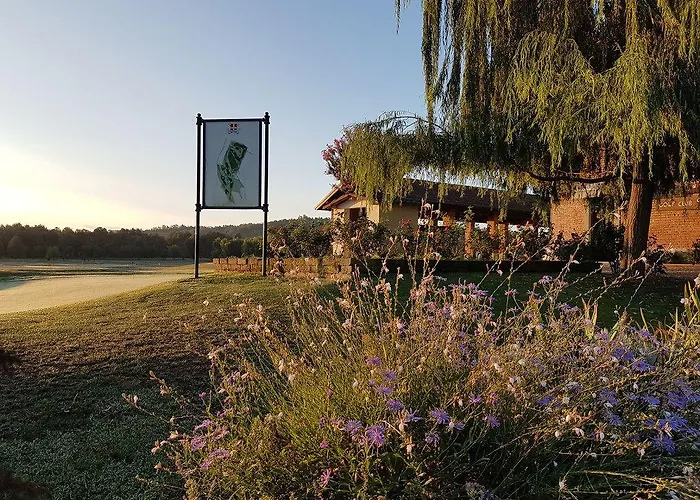 Ferro Uno, Golf Citta Di アスティ