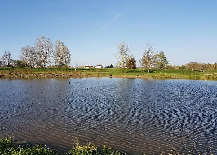 Ferro Uno, Golf Citta Di 4*